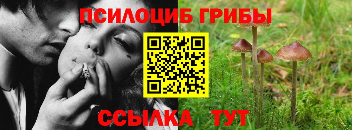 как найти закладки  Вход с VPN  Псилоцибиновые грибы GOLDEN TEACHER  Острогожск  Псилоцибиновые грибы MAGIC MUSHROOMS 
